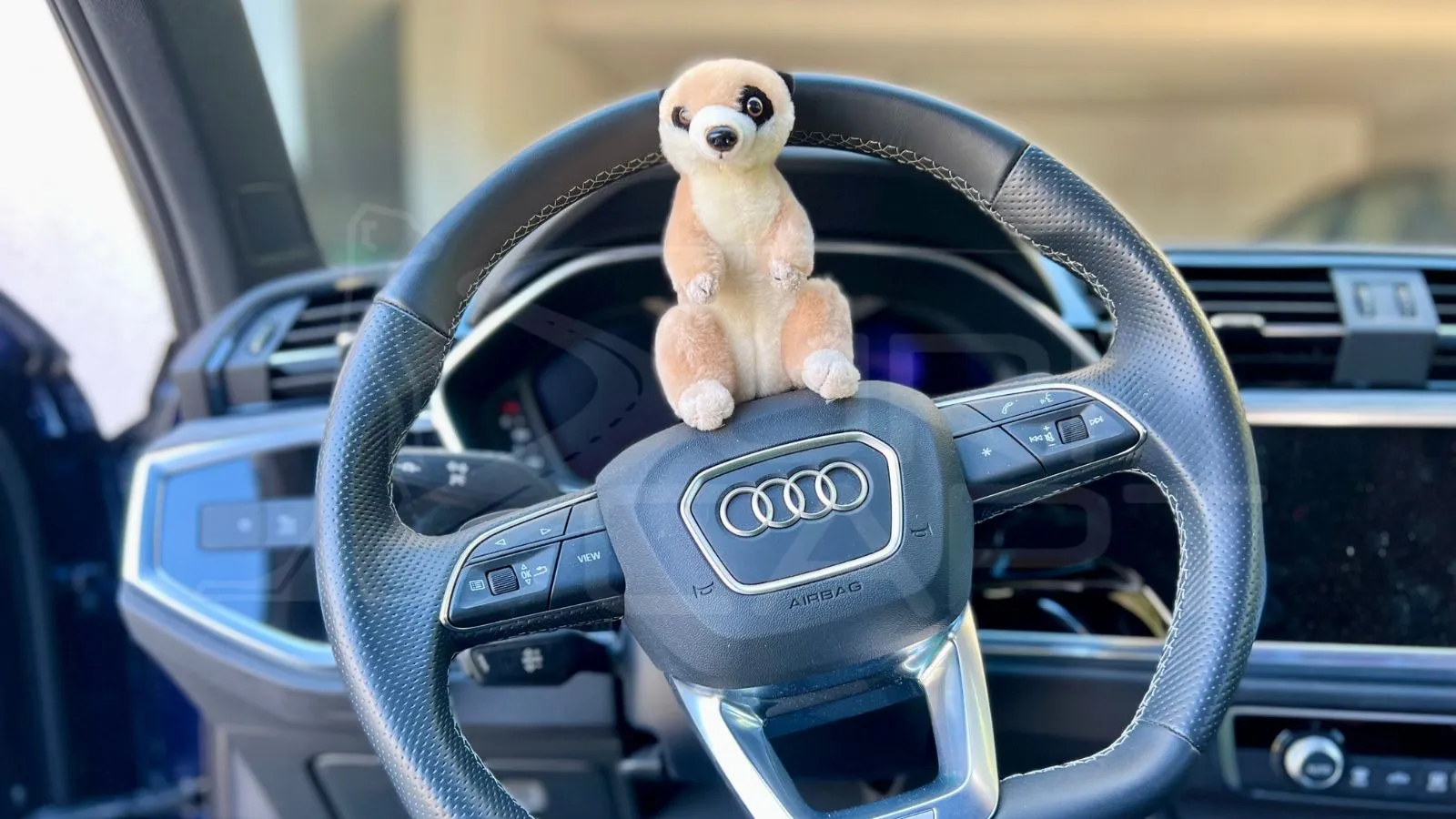 Vue 3 Audi Q3