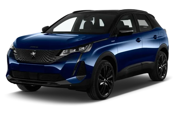 Vue gloable Peugeot 3008
