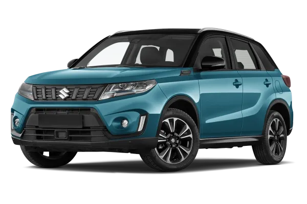 Vue gloable Suzuki Vitara