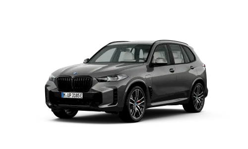 Vue gloable BMW X5