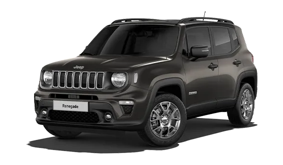 Vue gloable Jeep Renegade