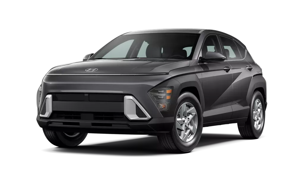 Vue gloable Hyundai Kona