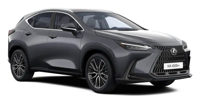 Vue gloable Lexus Nx 450h+