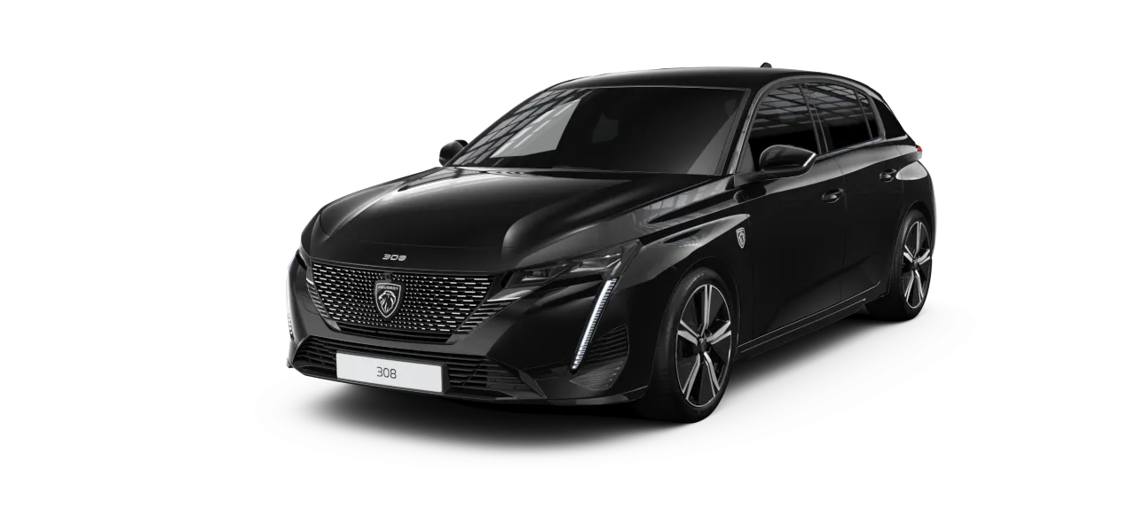 Vue gloable Peugeot 308
