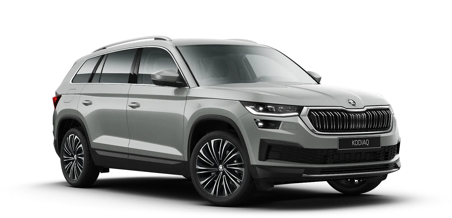 Vue gloable Skoda Kodiaq